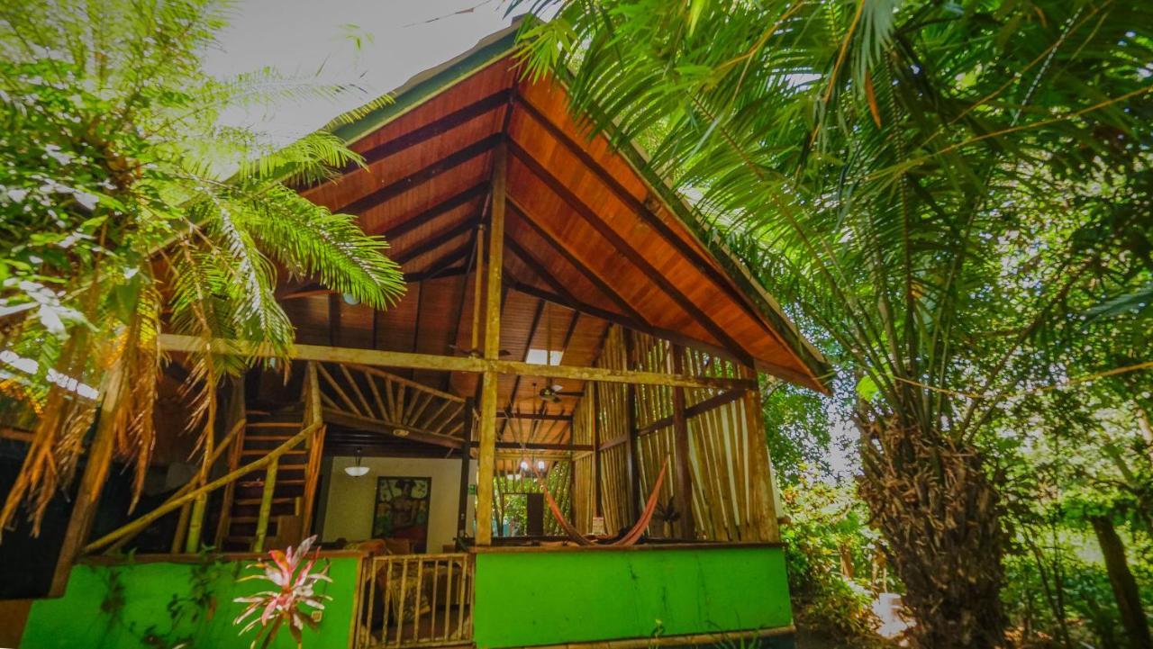 Chosa Manglar Suites & Cabins Puerto Jiménez Esterno foto