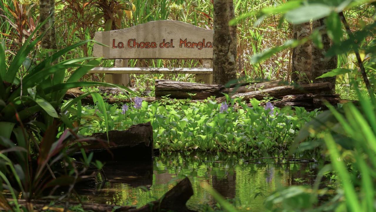 Chosa Manglar Suites & Cabins Puerto Jiménez Esterno foto