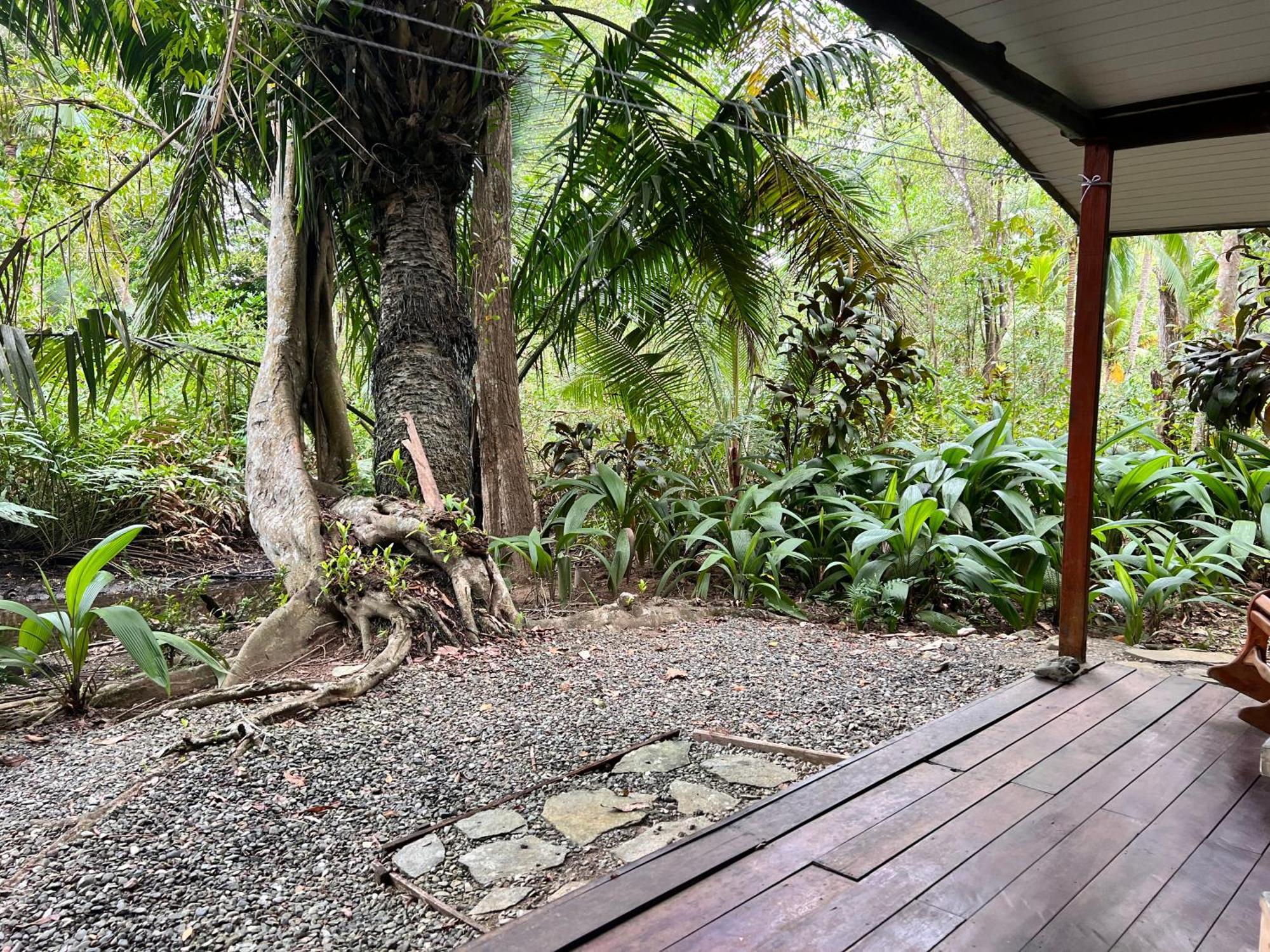 Chosa Manglar Suites & Cabins Puerto Jiménez Esterno foto
